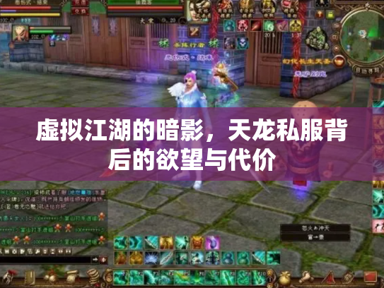 虚拟江湖的暗影，天龙私服背后的欲望与代价