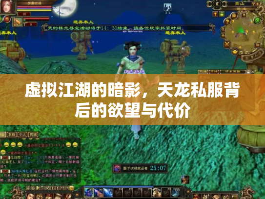 虚拟江湖的暗影，天龙私服背后的欲望与代价