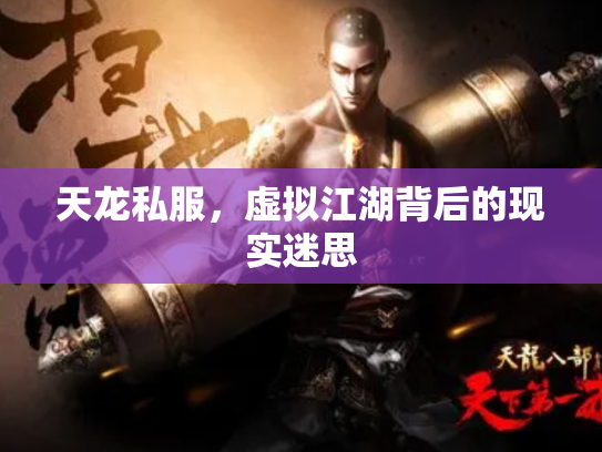 天龙私服，虚拟江湖背后的现实迷思