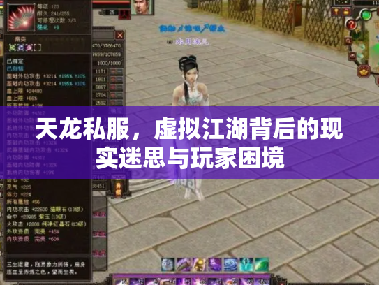 天龙私服，虚拟江湖背后的现实迷思与玩家困境