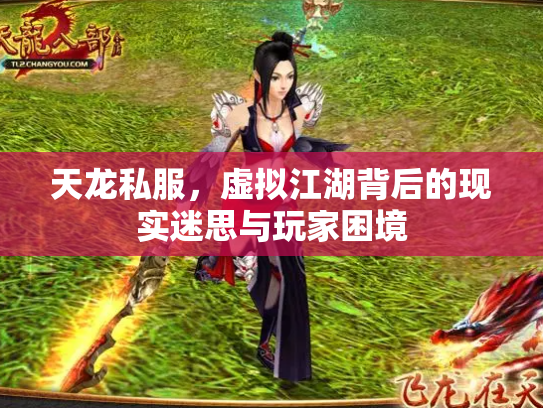 天龙私服，虚拟江湖背后的现实迷思与玩家困境