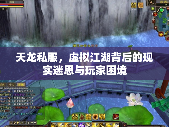 天龙私服，虚拟江湖背后的现实迷思与玩家困境