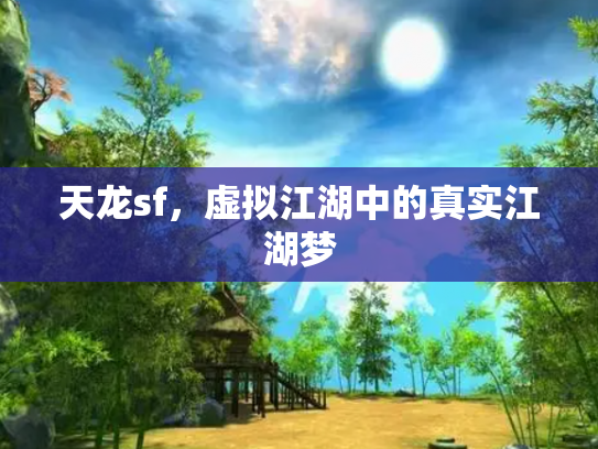 天龙sf，虚拟江湖中的真实江湖梦