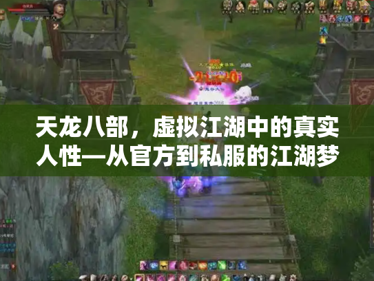 天龙八部，虚拟江湖中的真实人性—从官方到私服的江湖梦