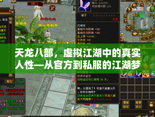 天龙八部，虚拟江湖中的真实人性—从官方到私服的江湖梦