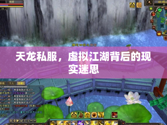 天龙私服，虚拟江湖背后的现实迷思