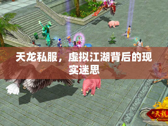 天龙私服，虚拟江湖背后的现实迷思