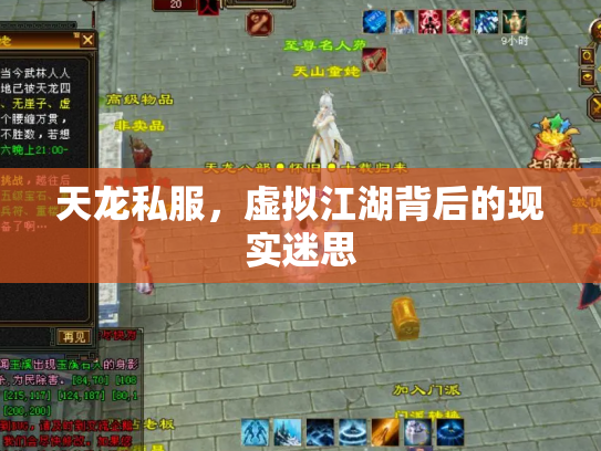 天龙私服，虚拟江湖背后的现实迷思