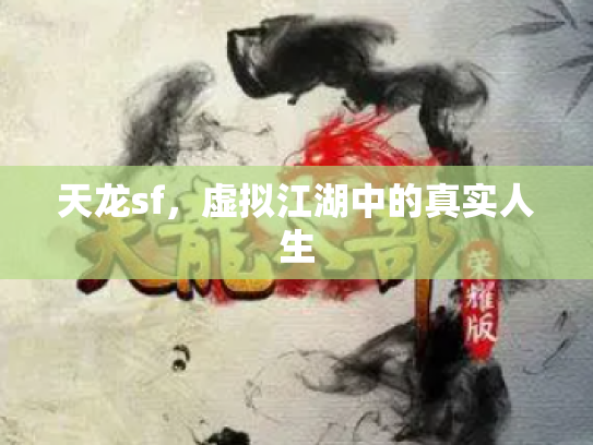 天龙sf，虚拟江湖中的真实人生