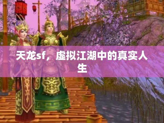 天龙sf，虚拟江湖中的真实人生