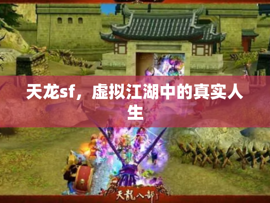 天龙sf，虚拟江湖中的真实人生