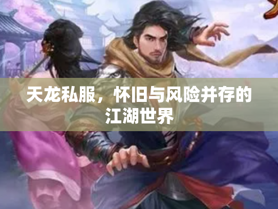 天龙私服，怀旧与风险并存的江湖世界
