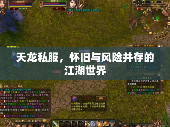 天龙私服，怀旧与风险并存的江湖世界