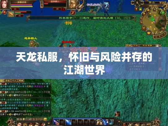 天龙私服，怀旧与风险并存的江湖世界