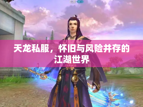 天龙私服，怀旧与风险并存的江湖世界