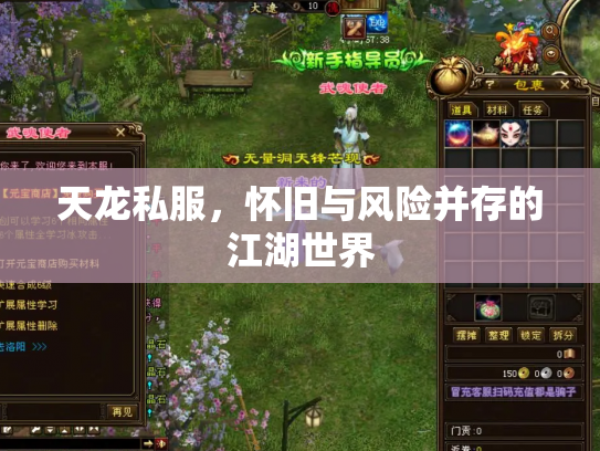 天龙私服，怀旧与风险并存的江湖世界
