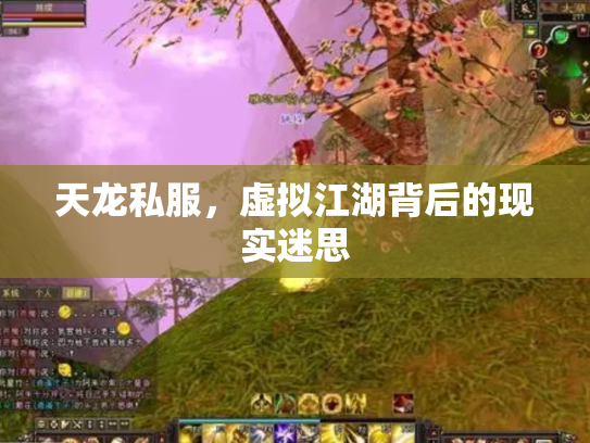 天龙私服，虚拟江湖背后的现实迷思