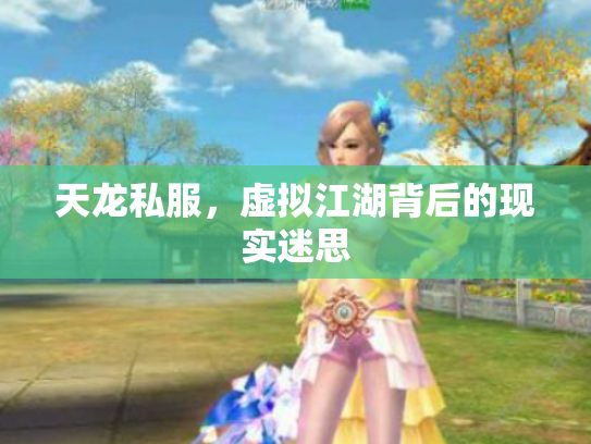 天龙私服，虚拟江湖背后的现实迷思