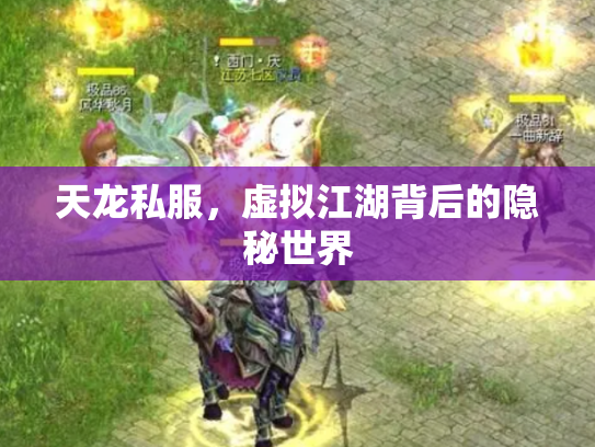 天龙私服，虚拟江湖背后的隐秘世界