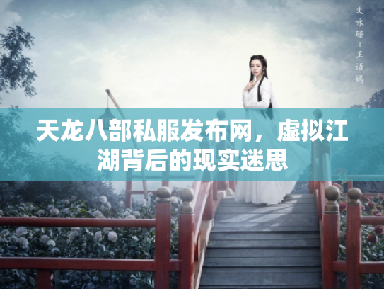 天龙八部私服发布网，虚拟江湖背后的现实迷思