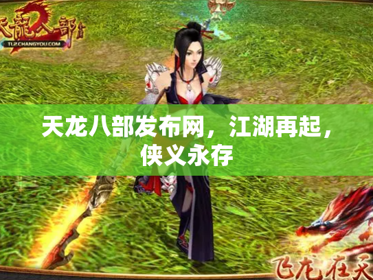 天龙八部发布网，江湖再起，侠义永存