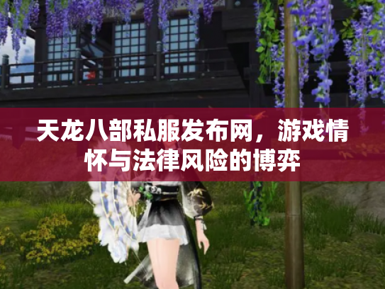 天龙八部私服发布网，游戏情怀与法律风险的博弈