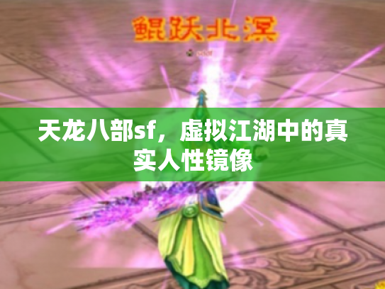 天龙八部sf，虚拟江湖中的真实人性镜像