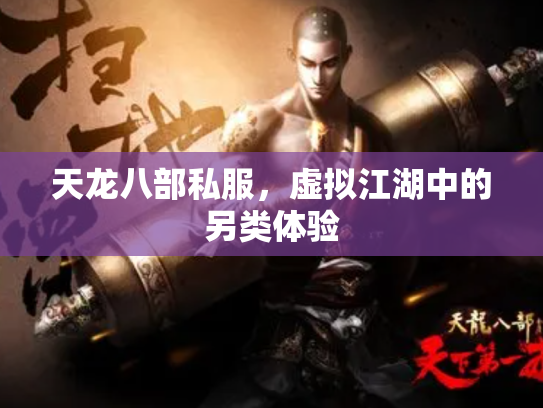 天龙八部私服，虚拟江湖中的另类体验