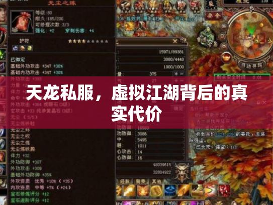 天龙私服，虚拟江湖背后的真实代价