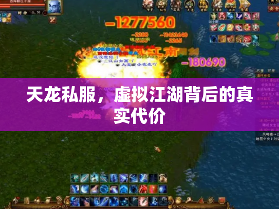 天龙私服，虚拟江湖背后的真实代价