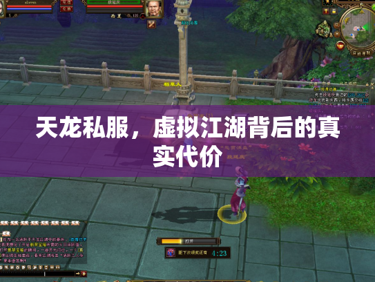 天龙私服，虚拟江湖背后的真实代价