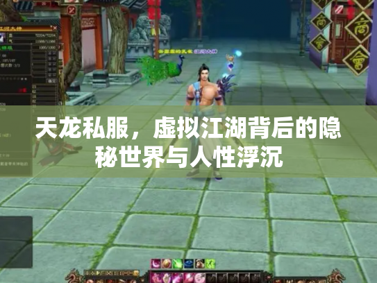 天龙私服，虚拟江湖背后的隐秘世界与人性浮沉
