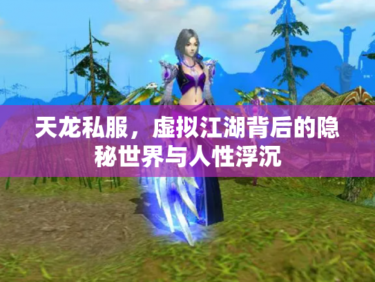 天龙私服，虚拟江湖背后的隐秘世界与人性浮沉