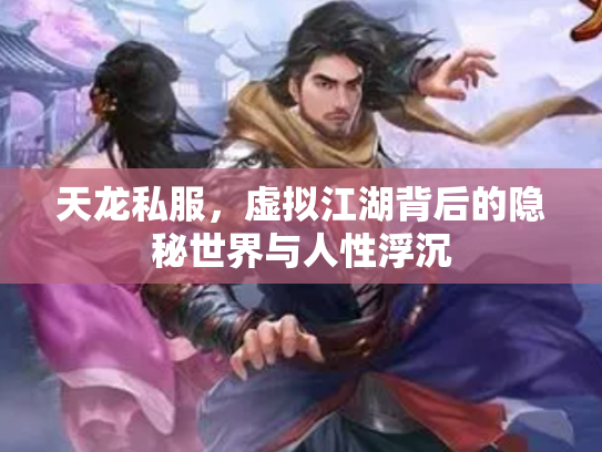 天龙私服，虚拟江湖背后的隐秘世界与人性浮沉
