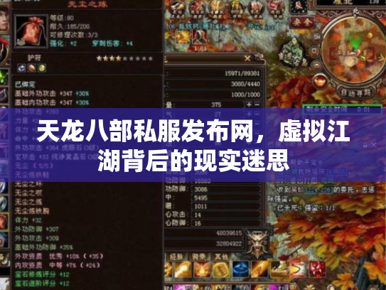 天龙八部私服发布网，虚拟江湖背后的现实迷思