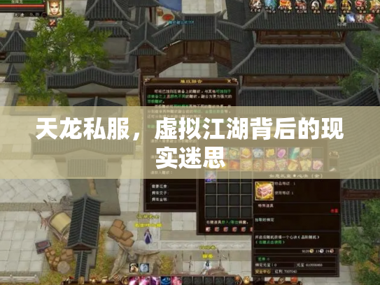 天龙私服，虚拟江湖背后的现实迷思