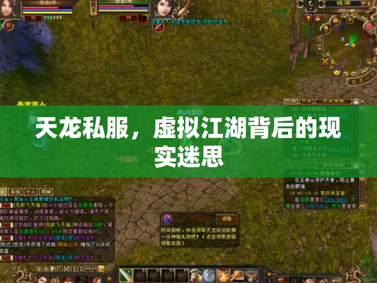 天龙私服，虚拟江湖背后的现实迷思