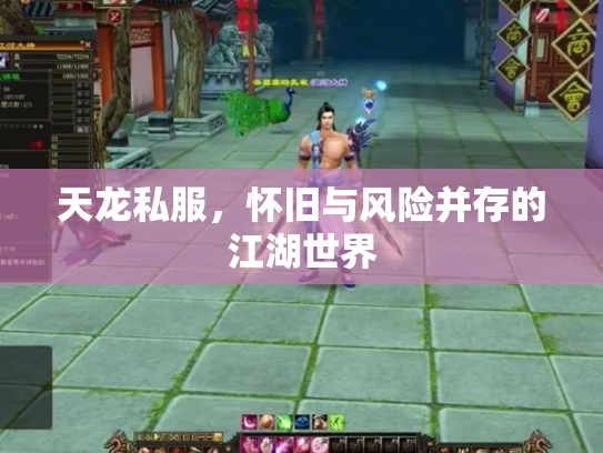 天龙私服，怀旧与风险并存的江湖世界