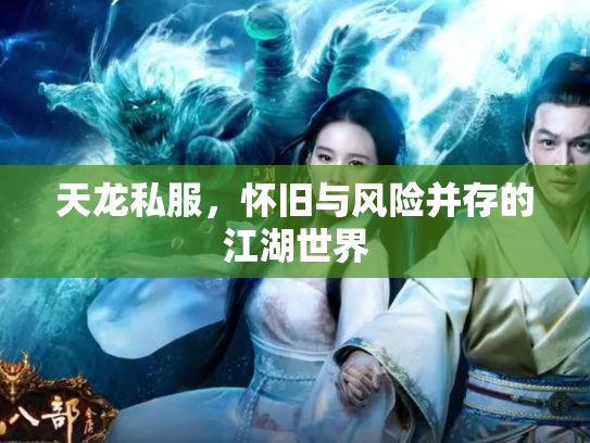 天龙私服，怀旧与风险并存的江湖世界