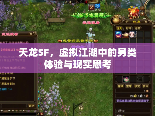 天龙SF，虚拟江湖中的另类体验与现实思考