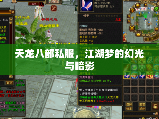 天龙八部私服，江湖梦的幻光与暗影