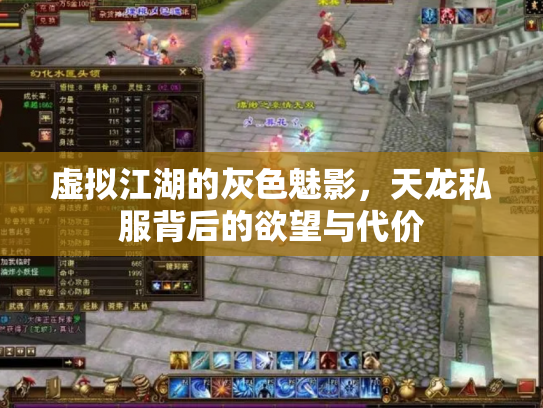 虚拟江湖的灰色魅影，天龙私服背后的欲望与代价