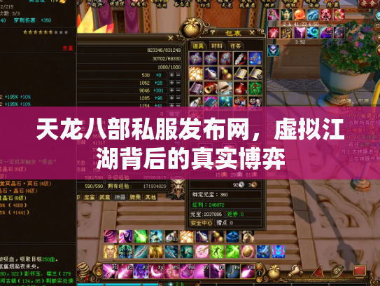 天龙八部私服发布网，虚拟江湖背后的真实博弈