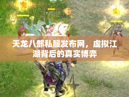 天龙八部私服发布网，虚拟江湖背后的真实博弈