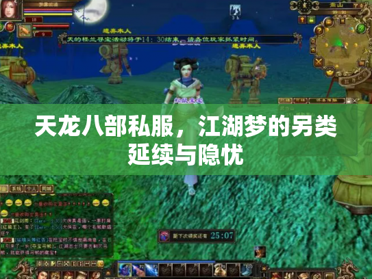 天龙八部私服，江湖梦的另类延续与隐忧