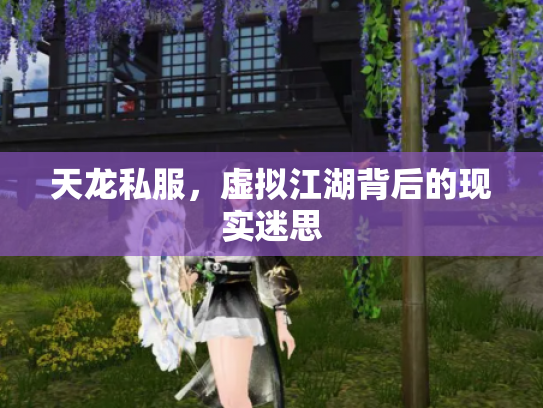天龙私服，虚拟江湖背后的现实迷思