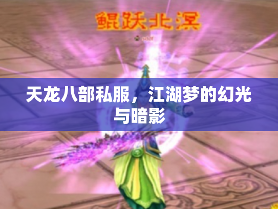 天龙八部私服，江湖梦的幻光与暗影