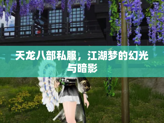 天龙八部私服，江湖梦的幻光与暗影
