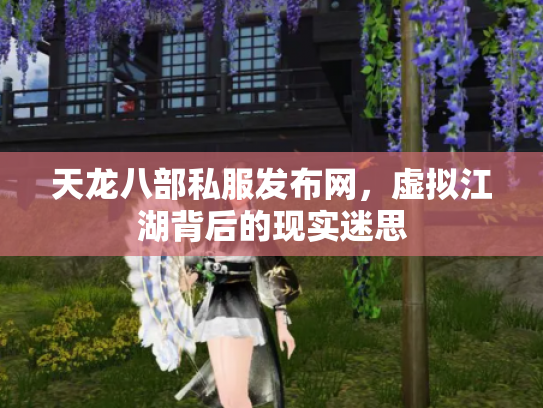 天龙八部私服发布网，虚拟江湖背后的现实迷思
