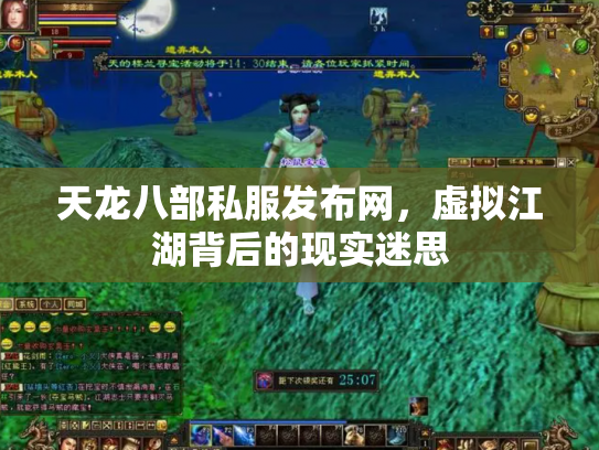 天龙八部私服发布网，虚拟江湖背后的现实迷思